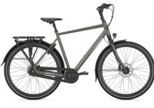 GAZELLE Chamonix C8 Heren Clay Green Mat 65cm 2025