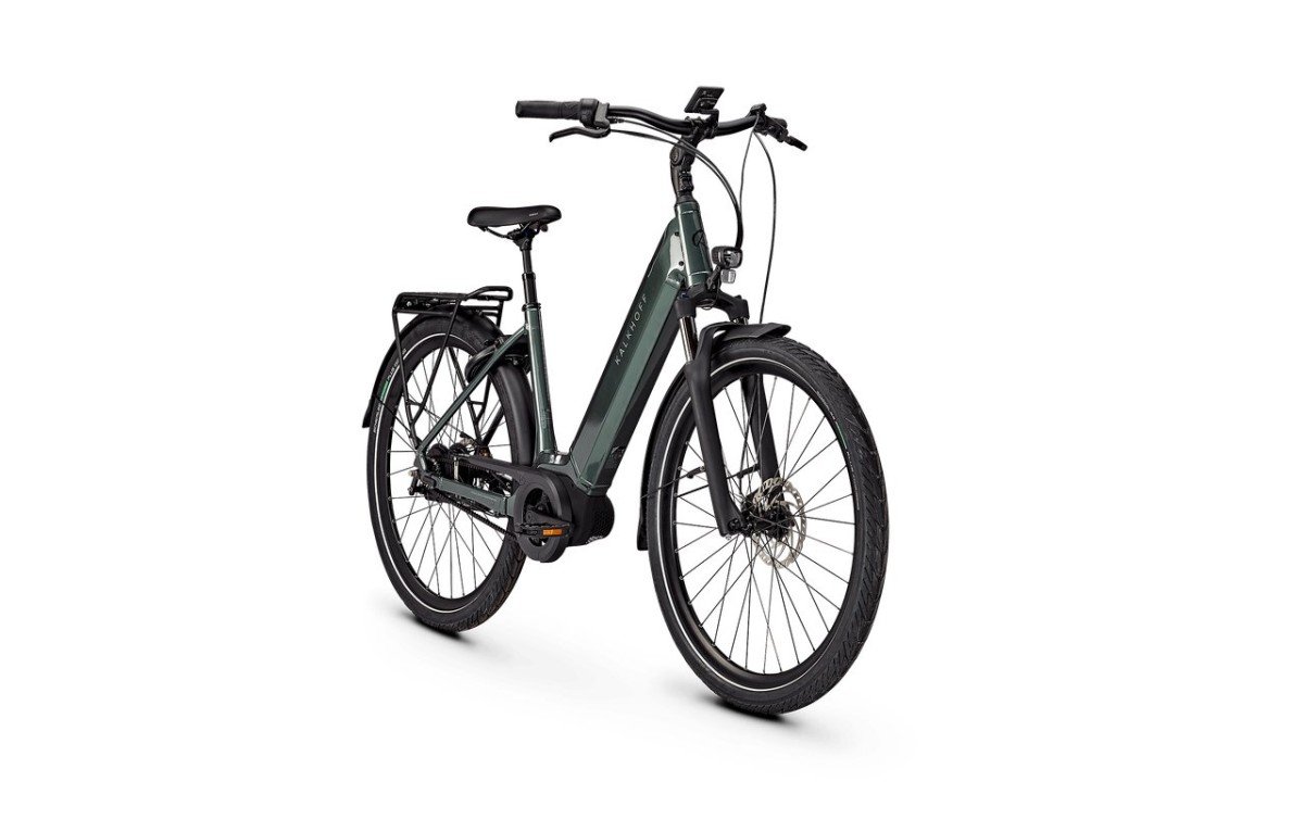 artPic_public_L_4257299