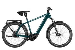 RIESE UND MÜLLER Charger5 vario T 100nm 800wh Pine L L 2027
