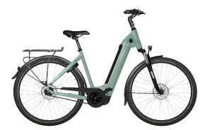 VELO DE VILLE AEB 890 PURE 5v 75nm 540wh Eucalyptus Green Mat 58cm 58cm 2026