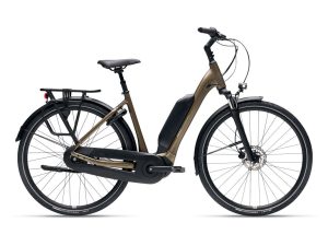 GIANT EXPRESSION E+2 50nm 500wh Dames Pyrite Brown M 50cm M 2025